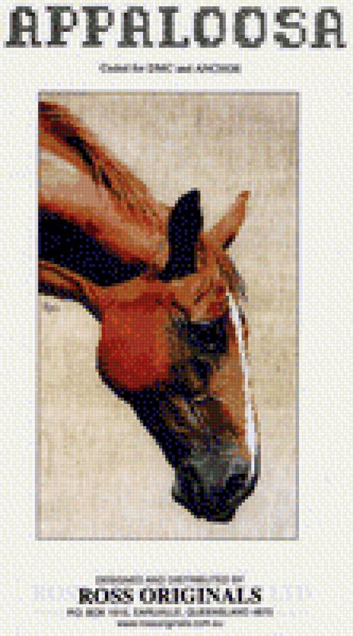 лошадь - предпросмотр