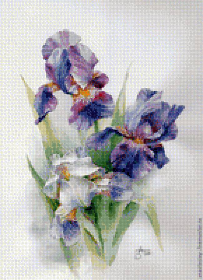 букет ирисов - предпросмотр