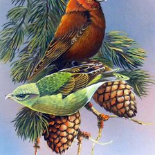 Схема вышивки «№1210328»