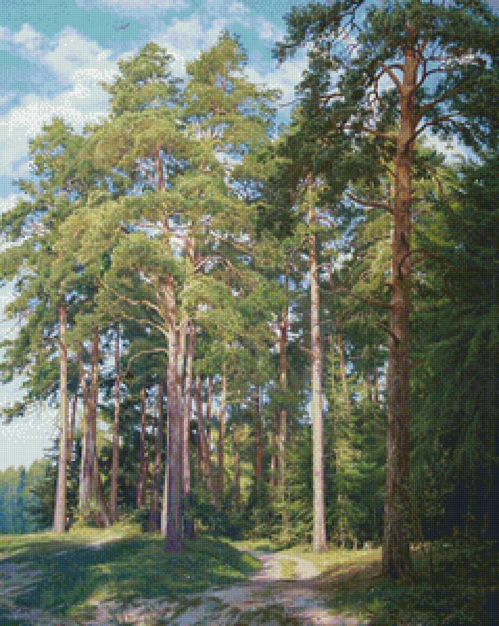 Сосновая роща - лес, пейзаж, природа - предпросмотр