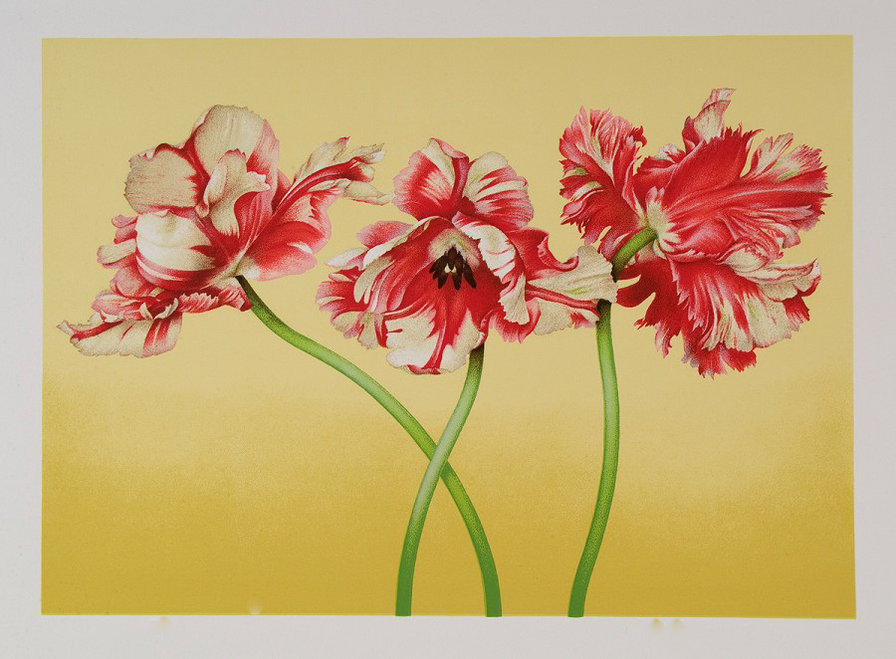 Тюльпановое трио - тюльпаны, красные цветы, панно, живопись, цветы, букет, панель - оригинал