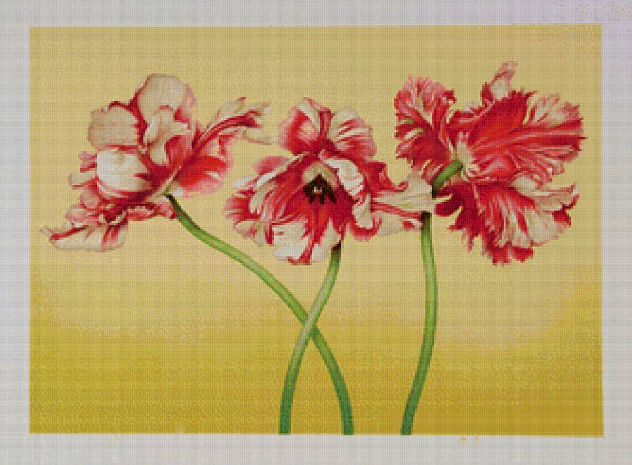 Тюльпановое трио - букет, тюльпаны, живопись, красные цветы, панно, цветы, панель - предпросмотр