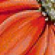 Предпросмотр схемы вышивки «красные цветы» (№1211511)