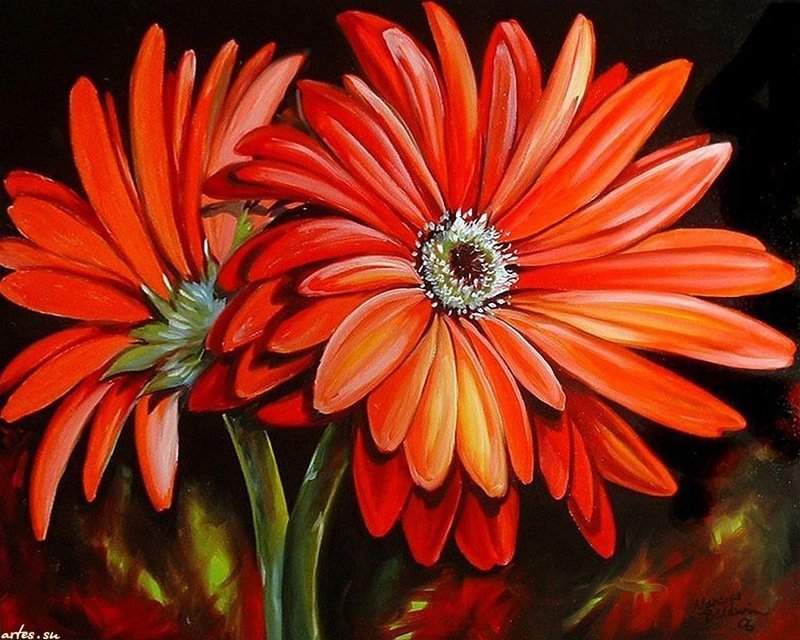 красные цветы - природа, весна, лето, картины, живопись, цветы - оригинал