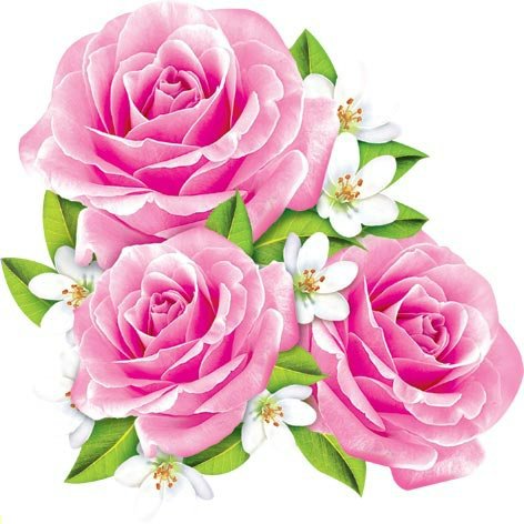 букет - розы - оригинал