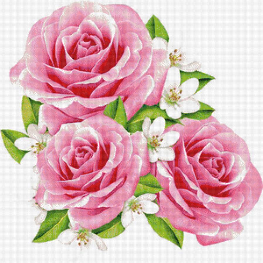 букет - розы - предпросмотр