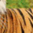 Предпросмотр схемы вышивки «Тигр» (№1211804)