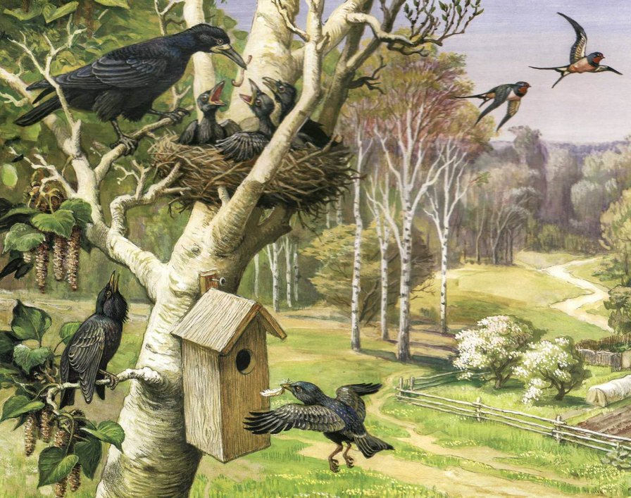 Птицы весной - природа, птицы, картина, весна - оригинал