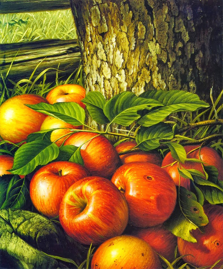 Яблочки под деревом - трава, летний пейзаж, дерево, богатый урожай, сад, фрукты, яблоки - оригинал