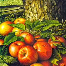 Оригинал схемы вышивки «Яблочки под деревом» (№1212246)