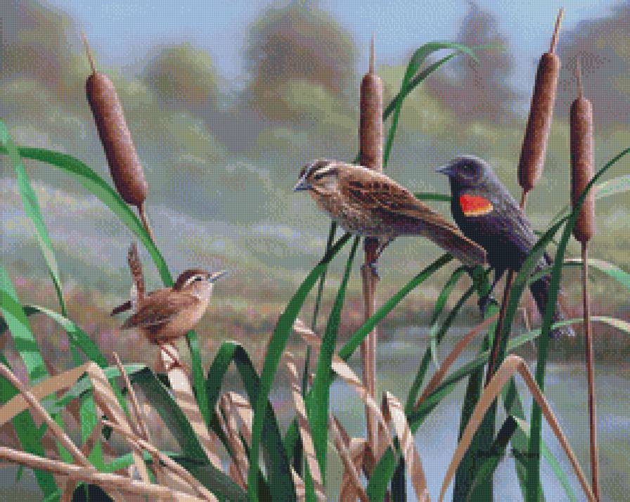 №1212522 - птицы - предпросмотр