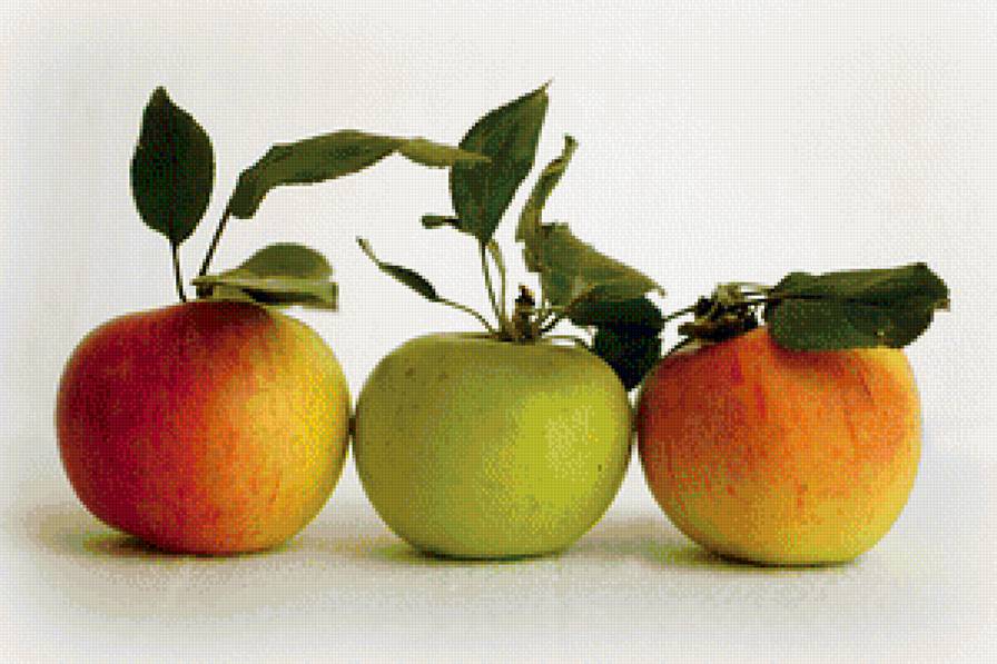 натюрморт - натюрморт - предпросмотр