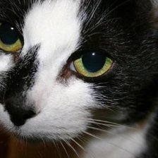 Схема вышивки «Мура»