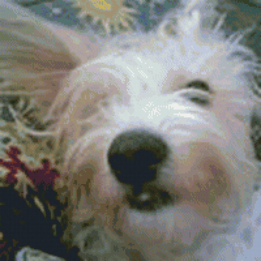 Соня - предпросмотр