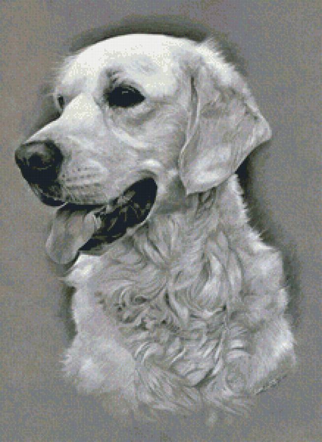 №1213544 - собака - предпросмотр