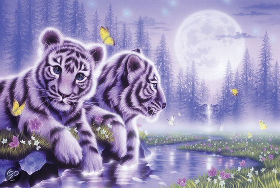 белые тигрята - оригинал