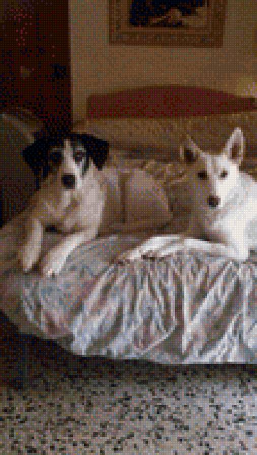 Luna y lisy 2 - предпросмотр