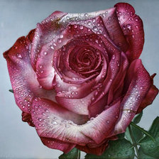 Оригинал схемы вышивки «№1213858»