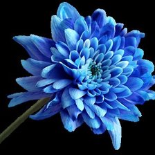 Схема вышивки «цветок»