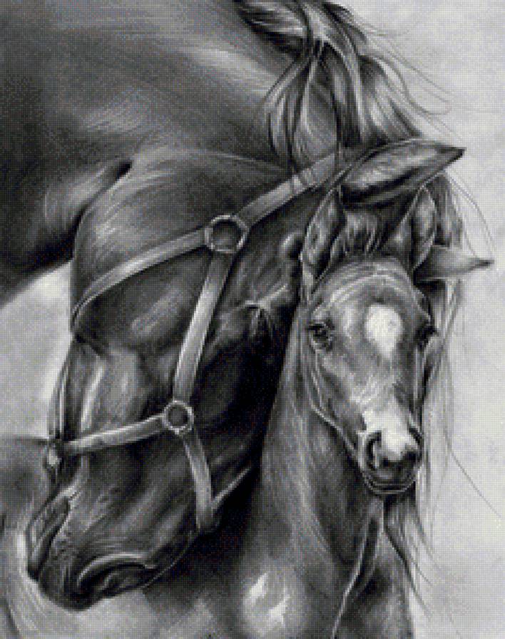 Нежность - лошади - предпросмотр