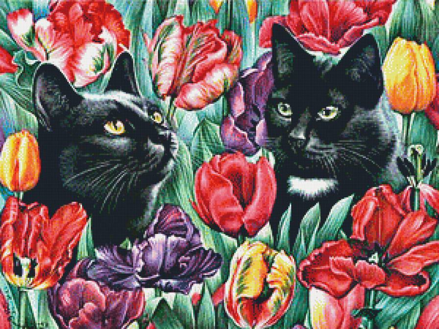 котики в тюльпанах - кот. тюльпаны. цветы - предпросмотр