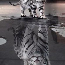 Схема вышивки «Котик»