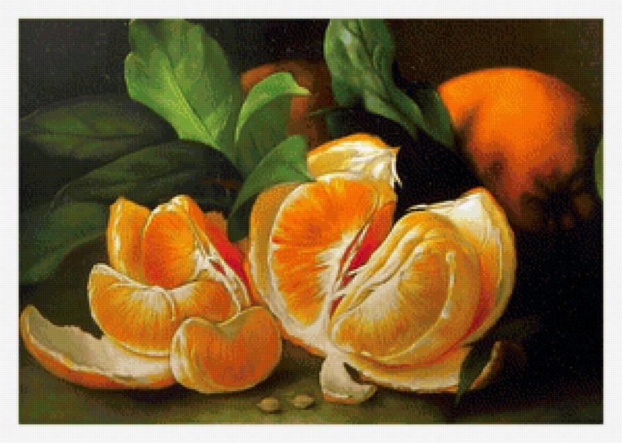 Натюрморт - вышивка крестом - предпросмотр