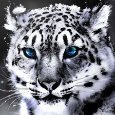 Схема вышивки «Киса»