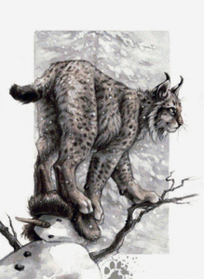 рысь - предпросмотр