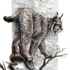 Схема вышивки «рысь»