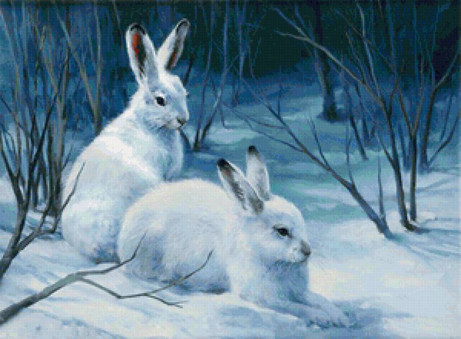Зайчишки в зимнем лесу - зимний пейзаж, снег, зайцы, зимний лес, сладкая парочка, зайчик, заяц - предпросмотр