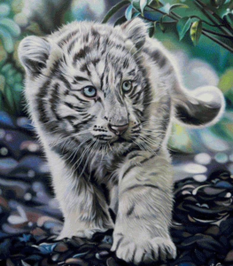 Белый тигренок - тигры, тигр, тигренок, животные - предпросмотр