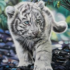 Схема вышивки «Белый тигренок»