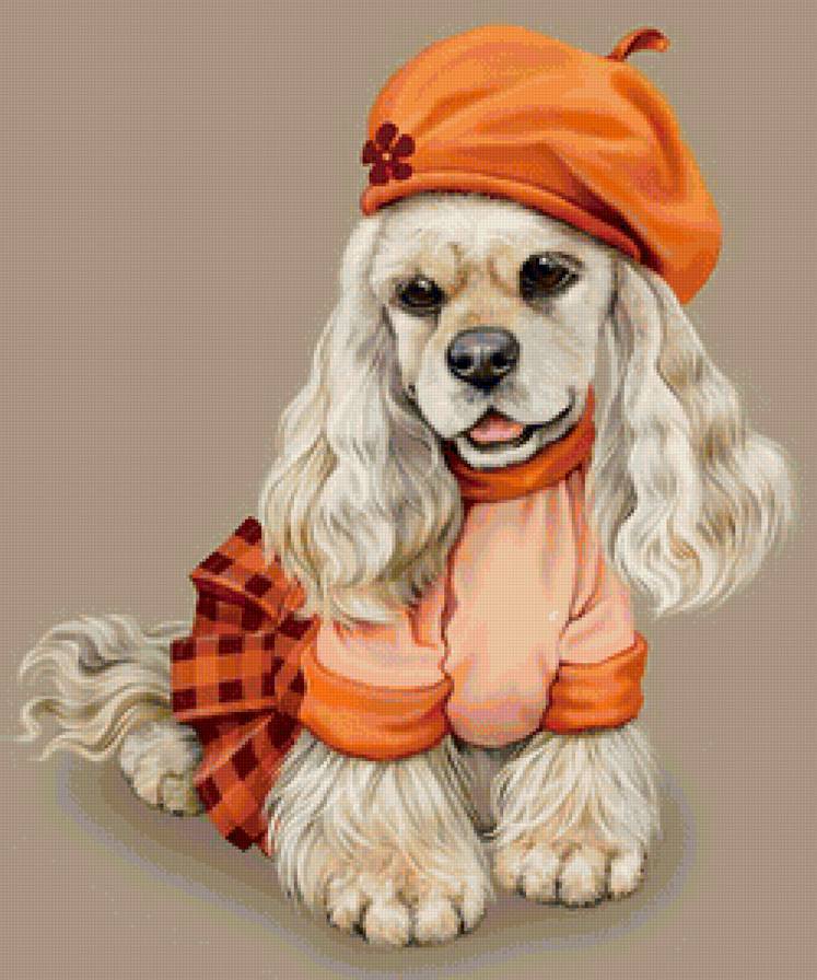 Модница - собаки, животные - предпросмотр