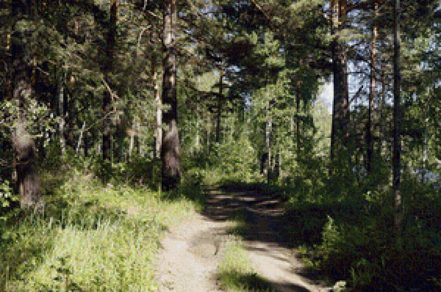 Лесная тропа - предпросмотр