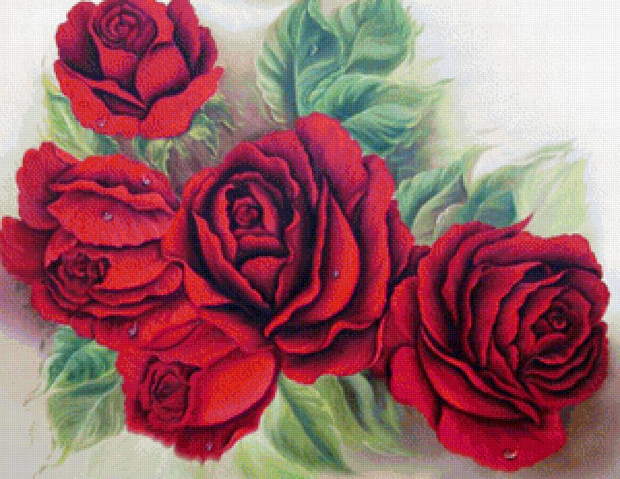 Розы - роза, цветок, букет, цветы - предпросмотр