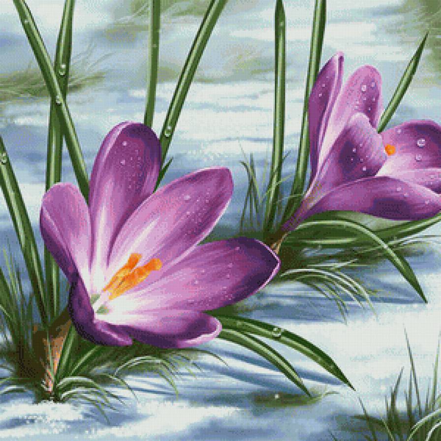 Серия "Флора" - первые цветы, весна, весеннее цветы, крокусы - предпросмотр