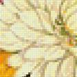 Предпросмотр схемы вышивки «Серия "Флора"» (№1216347)