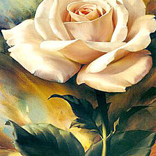 Схема вышивки «роза»