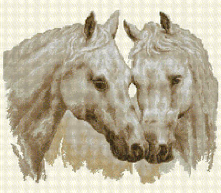 лошади - животные - предпросмотр