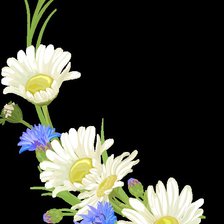 Схема вышивки «цветок»