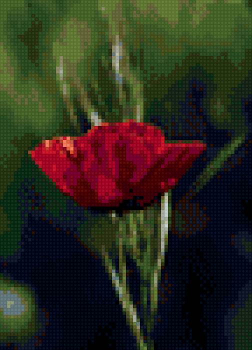 цветок - цветок - предпросмотр