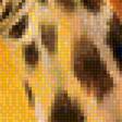 Предпросмотр схемы вышивки «жирафы» (№1218515)