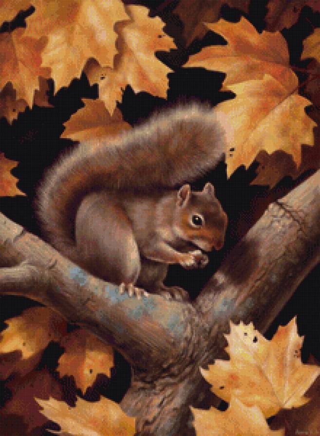 Белочка - белка, животные, осень - предпросмотр