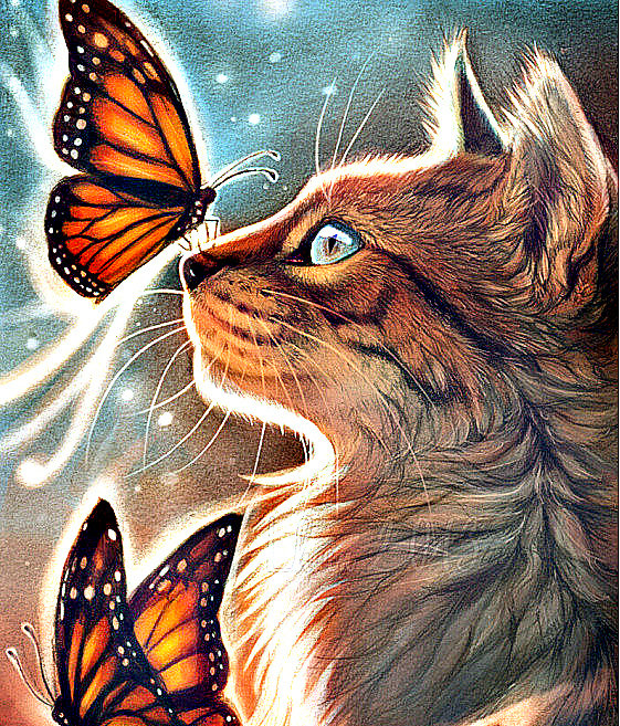 котик - кот. бабочка - оригинал
