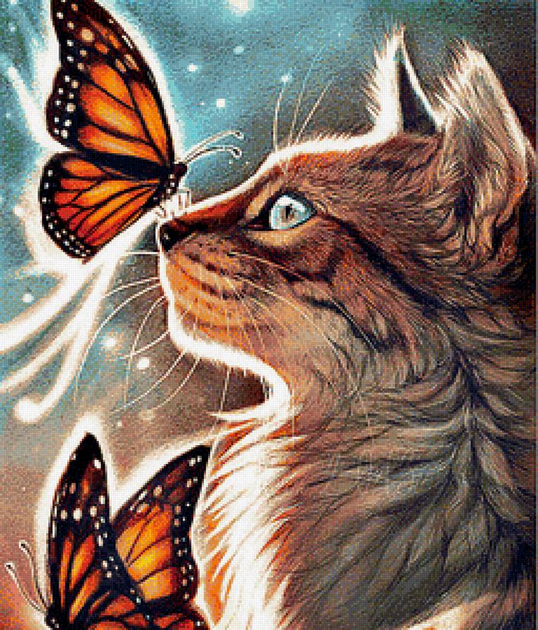 котик - кот. бабочка - предпросмотр