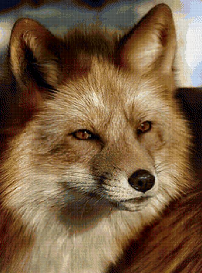 лисичка - животные - предпросмотр