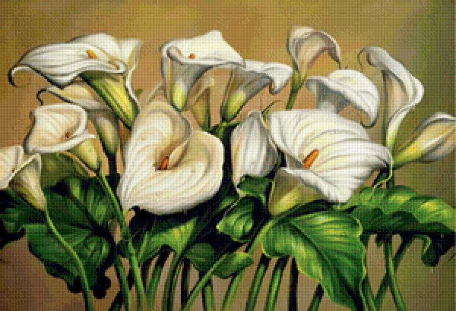 Каллы - белые цветы, букет, натюрморт, панель, панно, живопись, каллы, цветы - предпросмотр