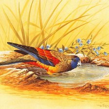 Схема вышивки «№1219256»