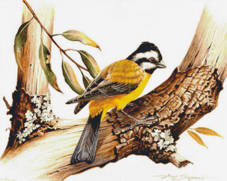 №1219264 - птицы - предпросмотр